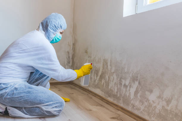 Licensed Crawl Space Mold Remediation service in Plano, TX - Car Mold Remediation