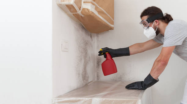 Professional Crawl Space Mold Remediation technician working in Plano, TX